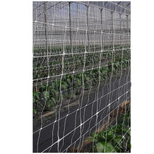 Malla para Entutorado